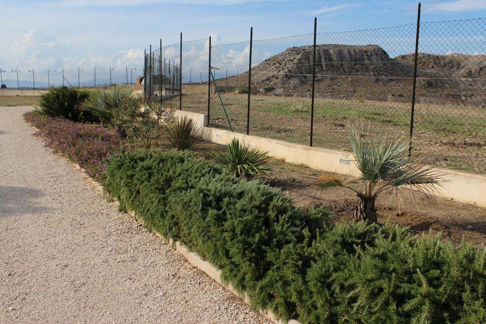 מונטאלגרו B&B L'Eden Di Capo Bianco מראה חיצוני תמונה